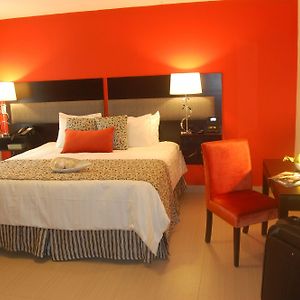Standaard Kamer met een King Size Bed